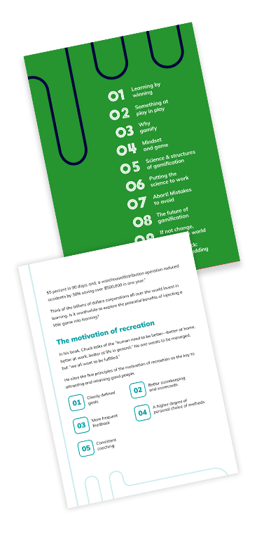 Level Up your Learning Game