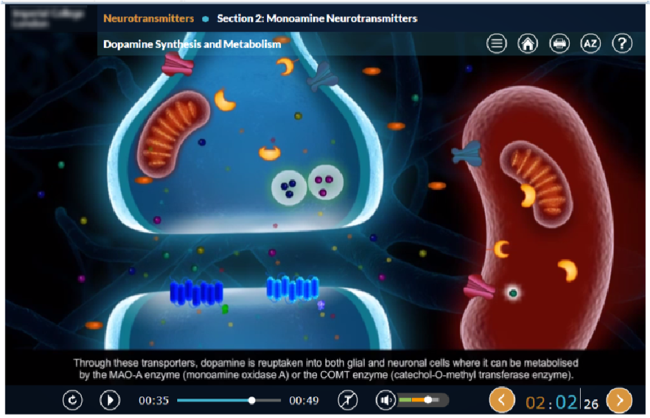Two eLearning Modules for Year 4 of One of The Top 10 World-Leading Universities, MBBS/BSc Medicine Program