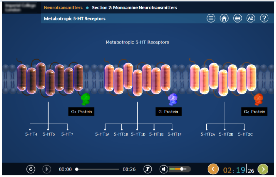 Two eLearning Modules for Year 4 of One of The Top 10 World-Leading Universities, MBBS/BSc Medicine Program