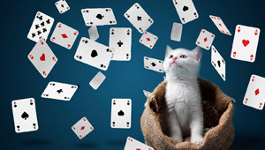 Curiosity keeps us alive, gaming and learning